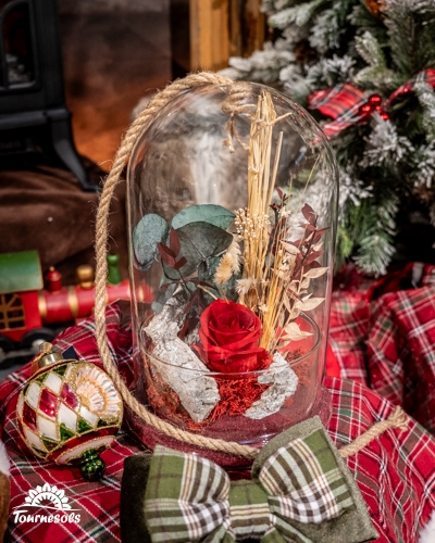 Roses rouges et végétaux séchés sous cloche décorative de Noël.